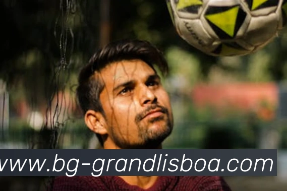 新葡京娱乐APP 封面图